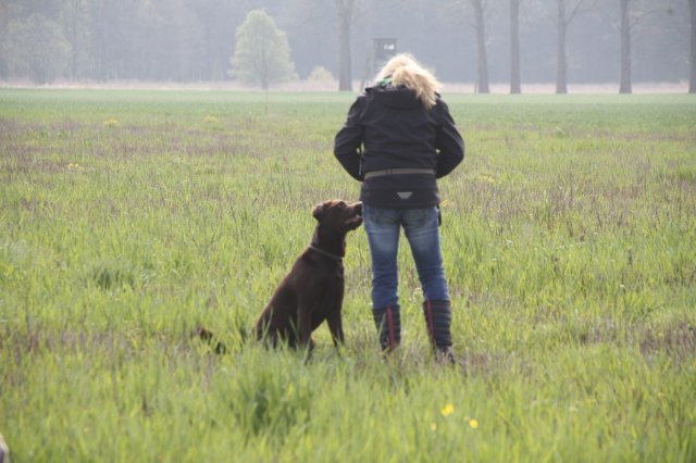 alle_hundefotos