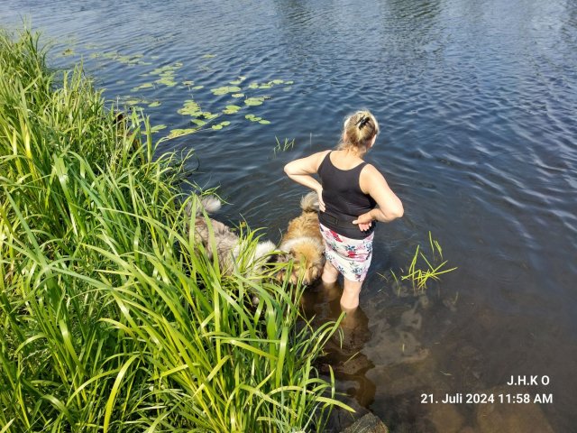 alle_hundefotos