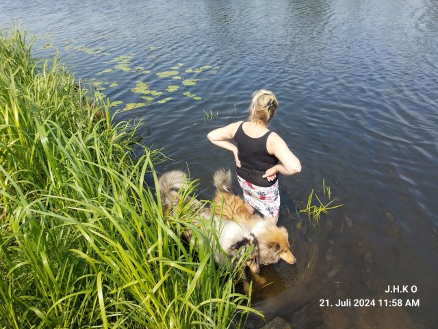 alle_hundefotos