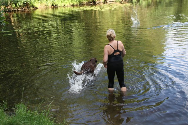 alle_hundefotos