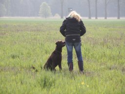 alle_hundefotos