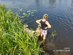alle_hundefotos
