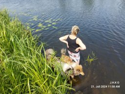 alle_hundefotos