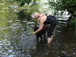 alle_hundefotos