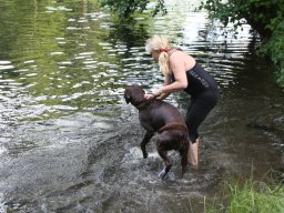 alle_hundefotos