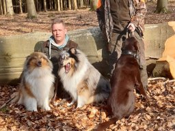 alle_hundefotos