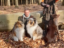 alle_hundefotos